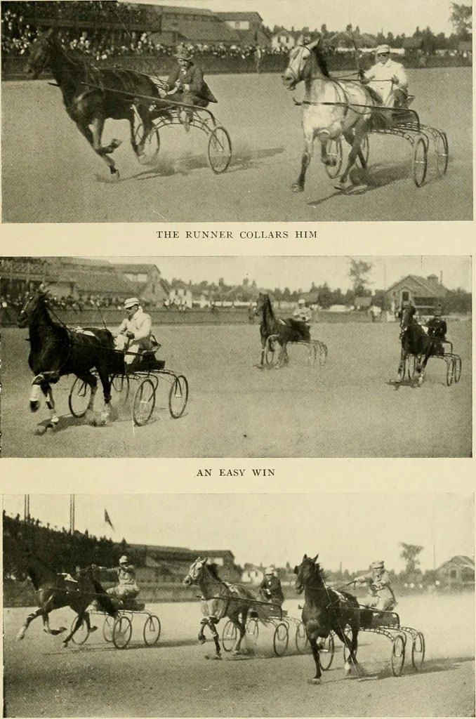An illustration from Driving, 1903, leaf 391