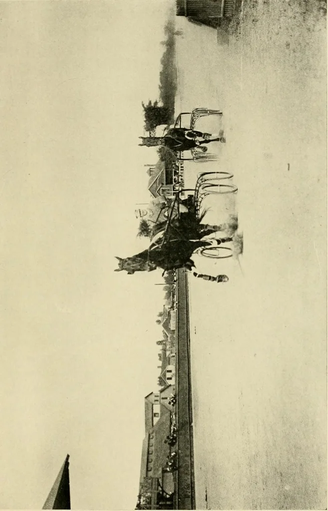 An illustration from Driving, 1903, leaf 401