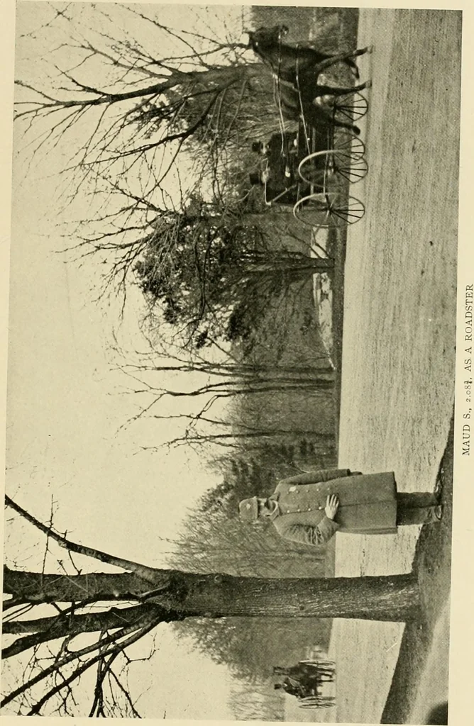 An illustration from Driving, 1903, leaf 429