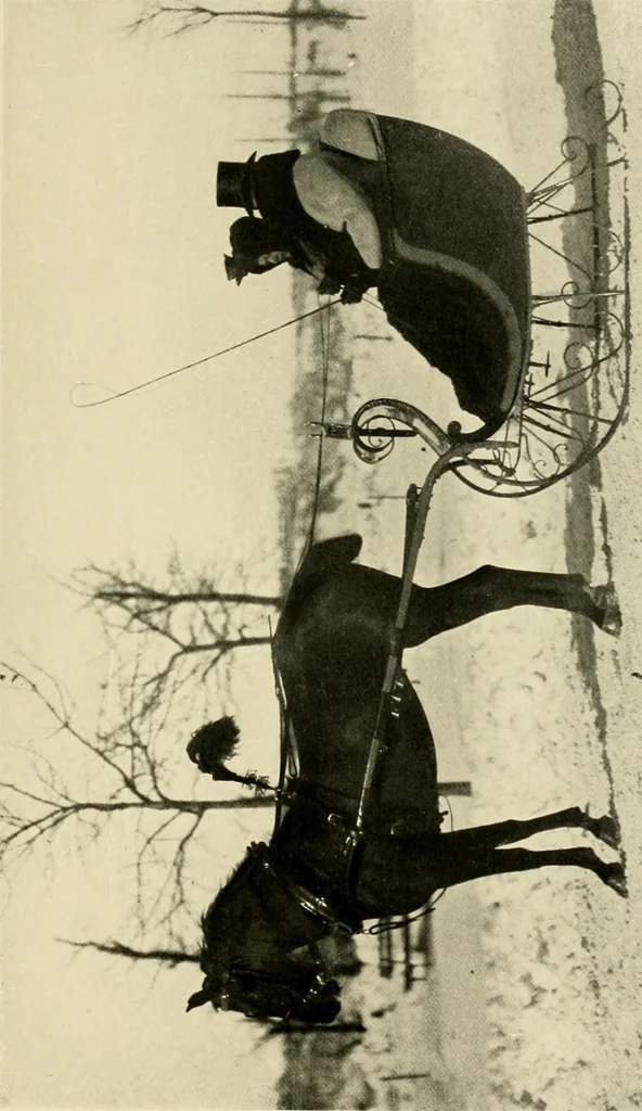 An illustration from Driving, 1903, leaf 433
