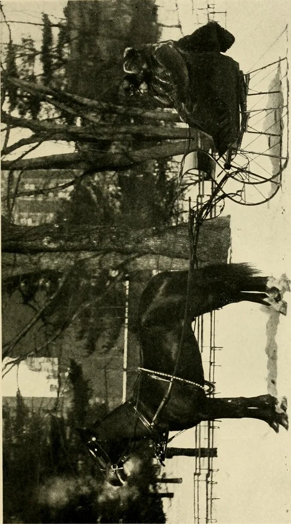 An illustration from Driving, 1903, leaf 437