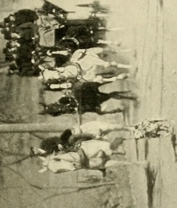 An illustration from Driving, 1903, leaf 89