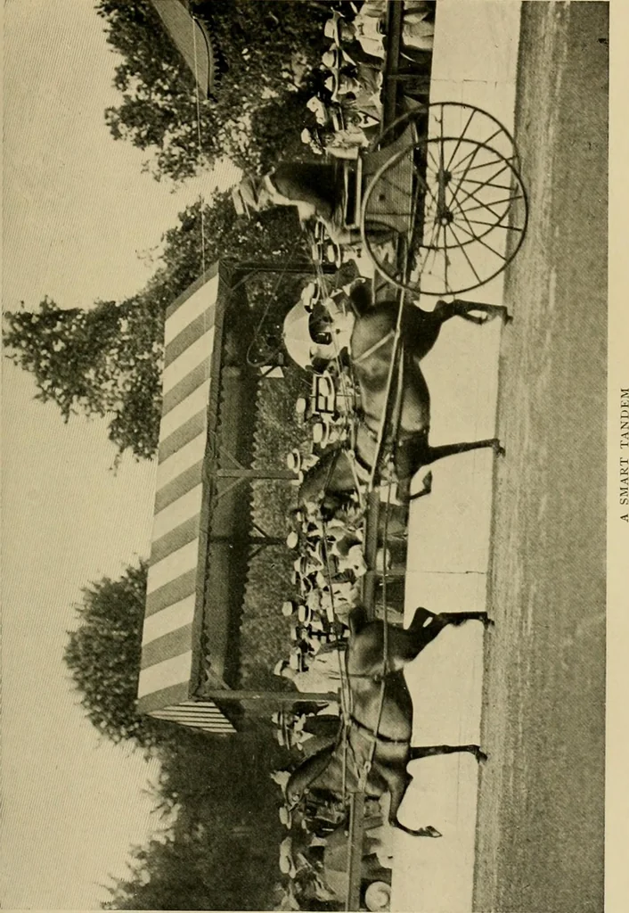 An illustration from Driving, 1903, leaf 121