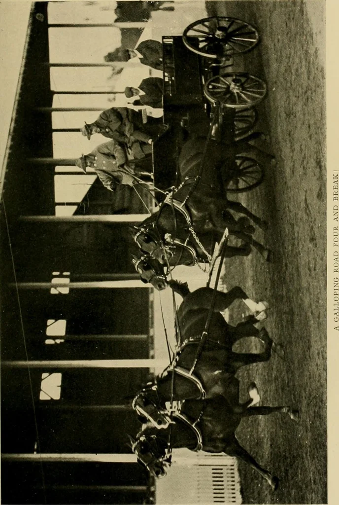 An illustration from Driving, 1903, leaf 127