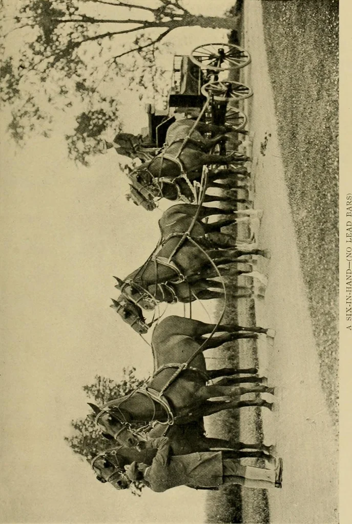 An illustration from Driving, 1903, leaf 137