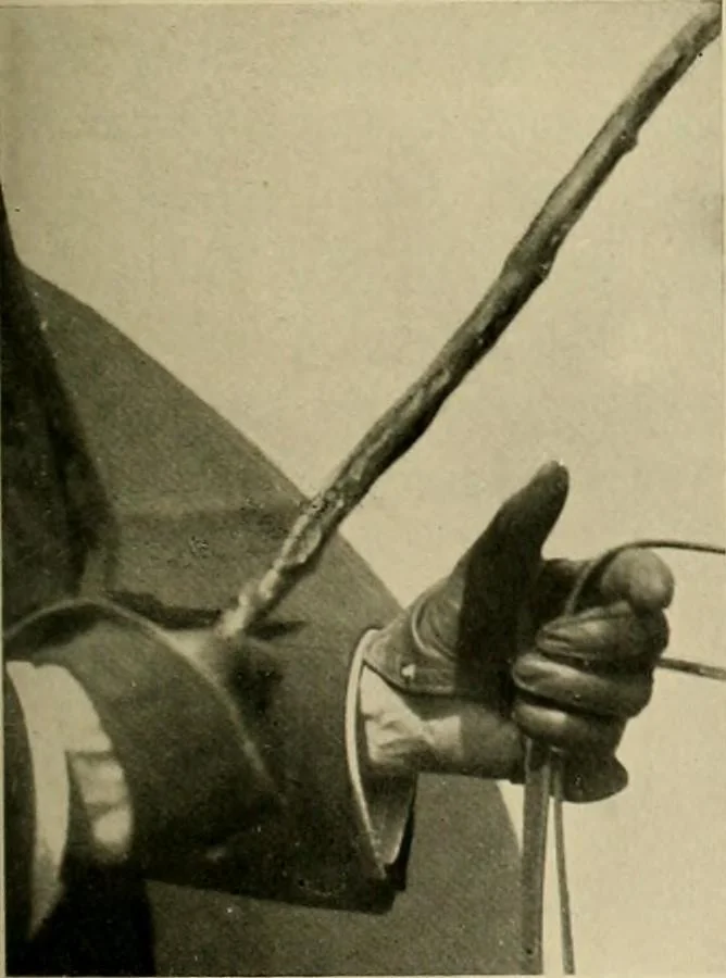 An illustration from Driving, 1903, leaf 143