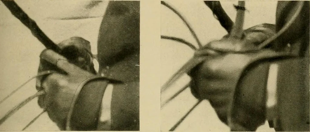 An illustration from Driving, 1903, leaf 151