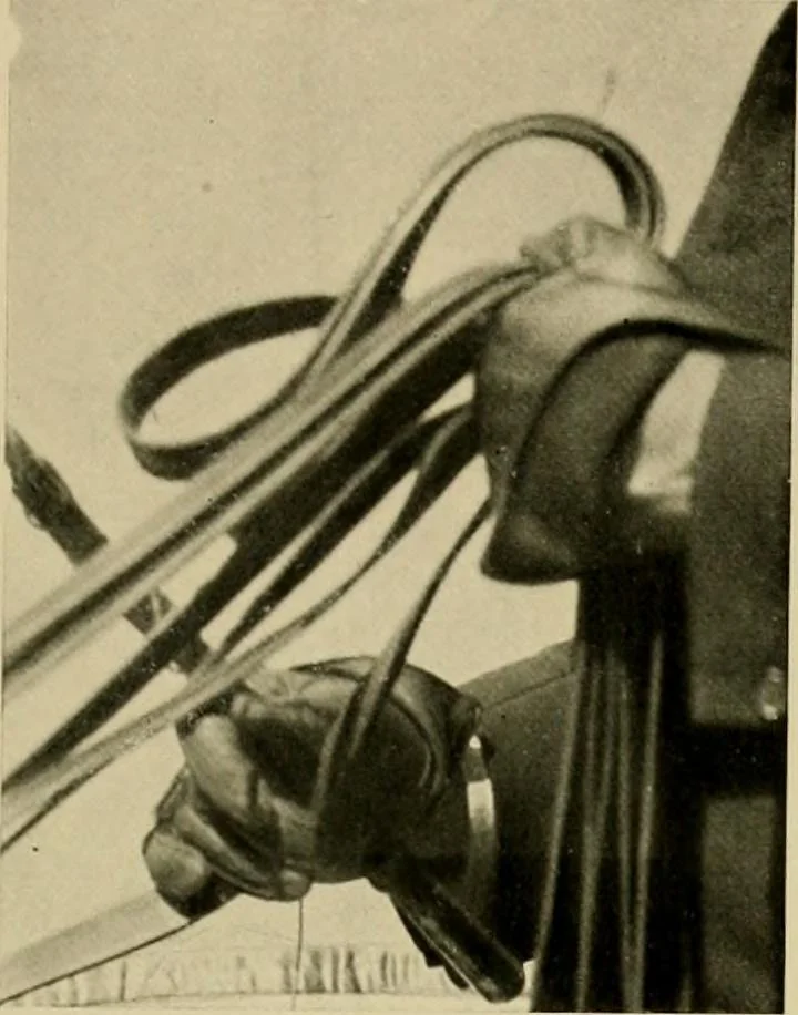 An illustration from Driving, 1903, leaf 155