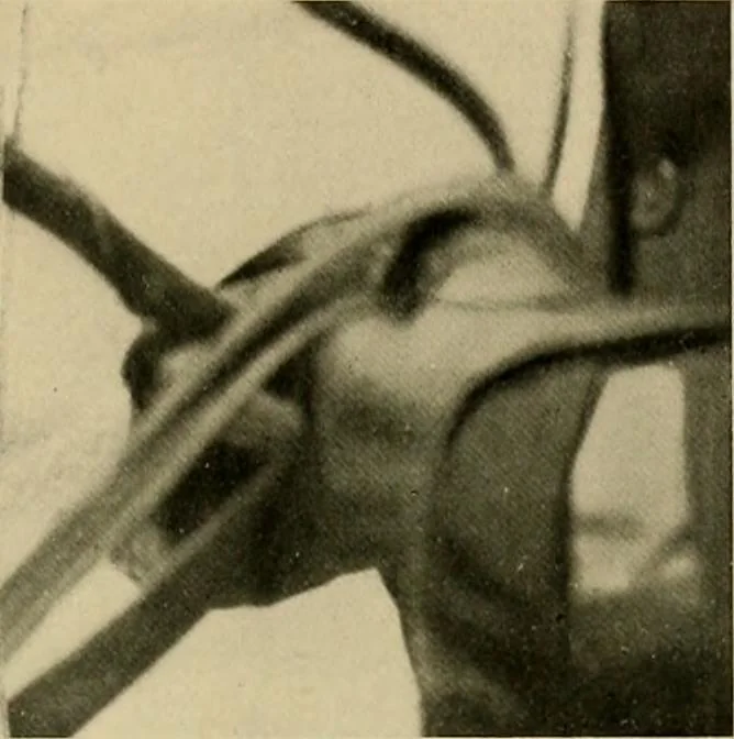 An illustration from Driving, 1903, leaf 163