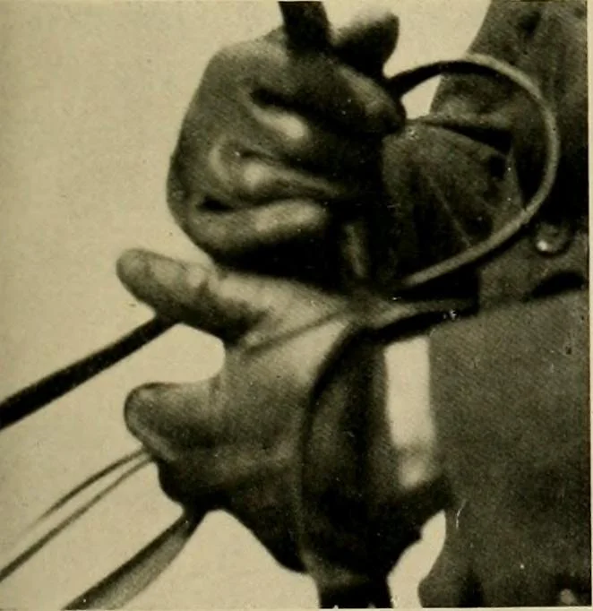 An illustration from Driving, 1903, leaf 163