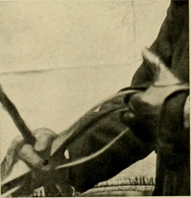 An illustration from Driving, 1903, leaf 163