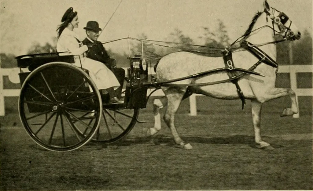 An illustration from Driving, 1903, leaf 167