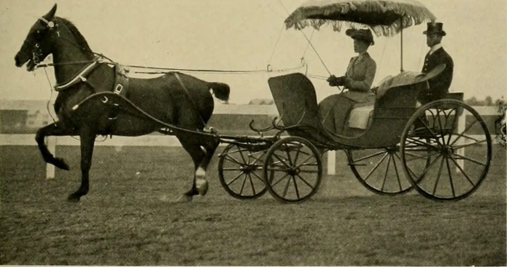 An illustration from Driving, 1903, leaf 167