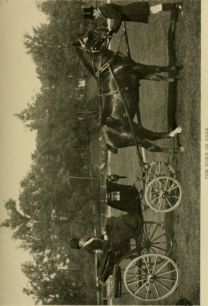 An illustration from Driving, 1903, leaf 171