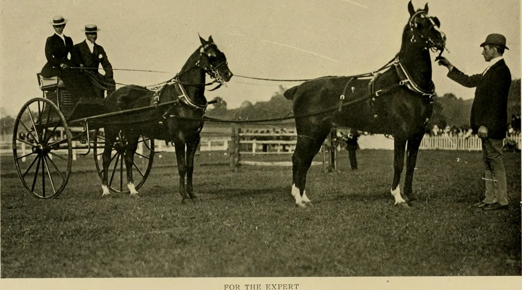 An illustration from Driving, 1903, leaf 175