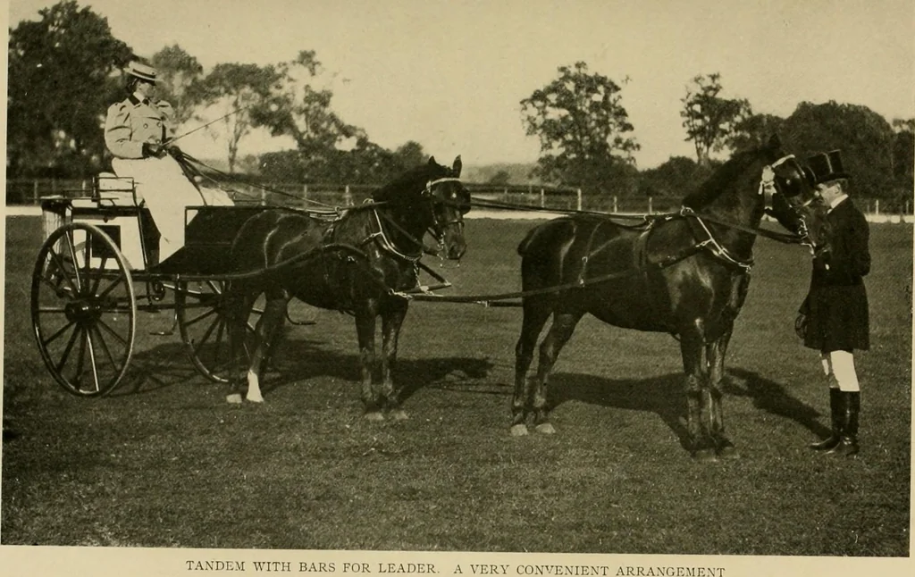 An illustration from Driving, 1903, leaf 181