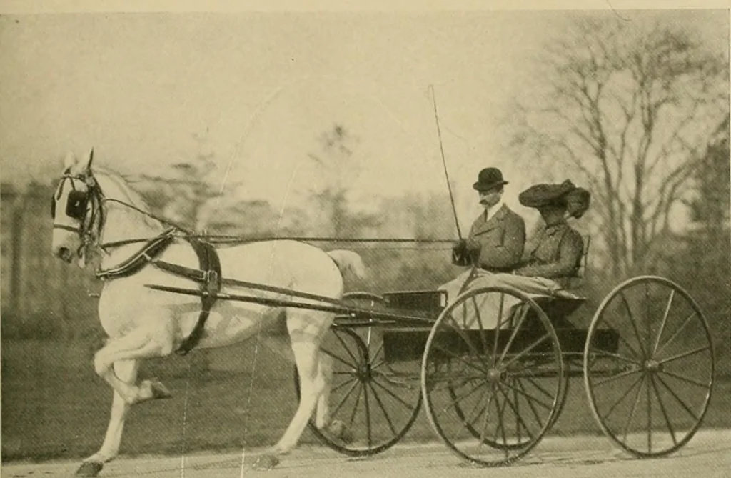 An illustration from Driving, 1903, leaf 195