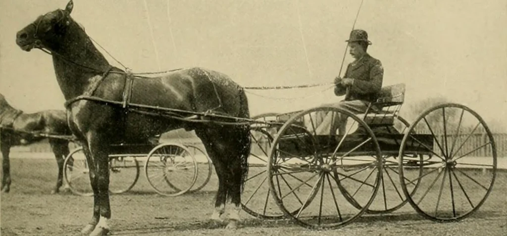 An illustration from Driving, 1903, leaf 195