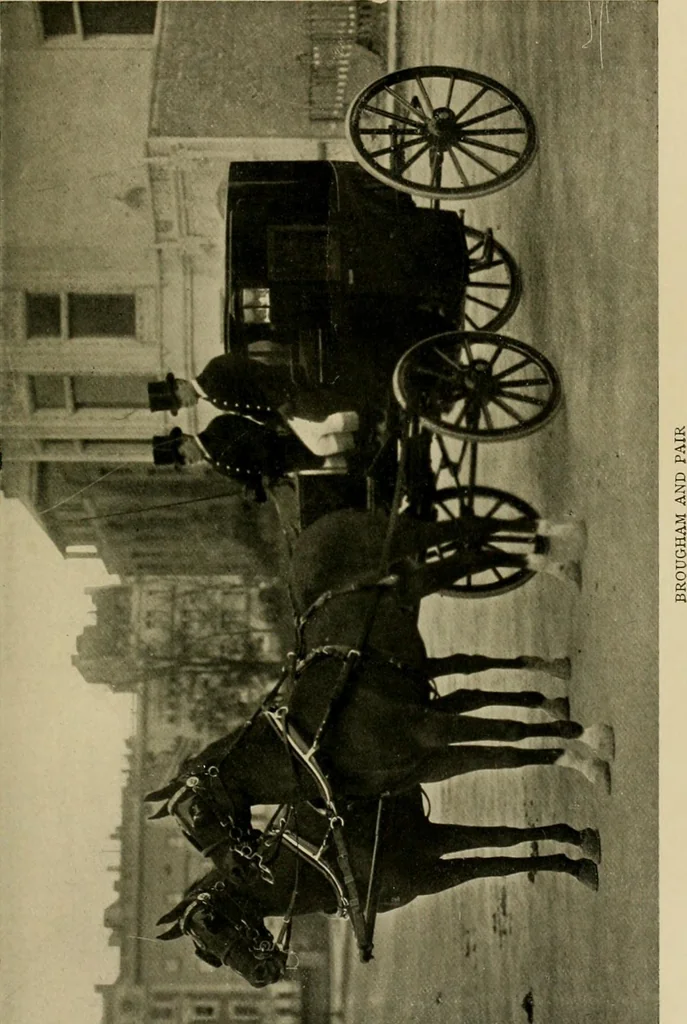 An illustration from Driving, 1903, leaf 207