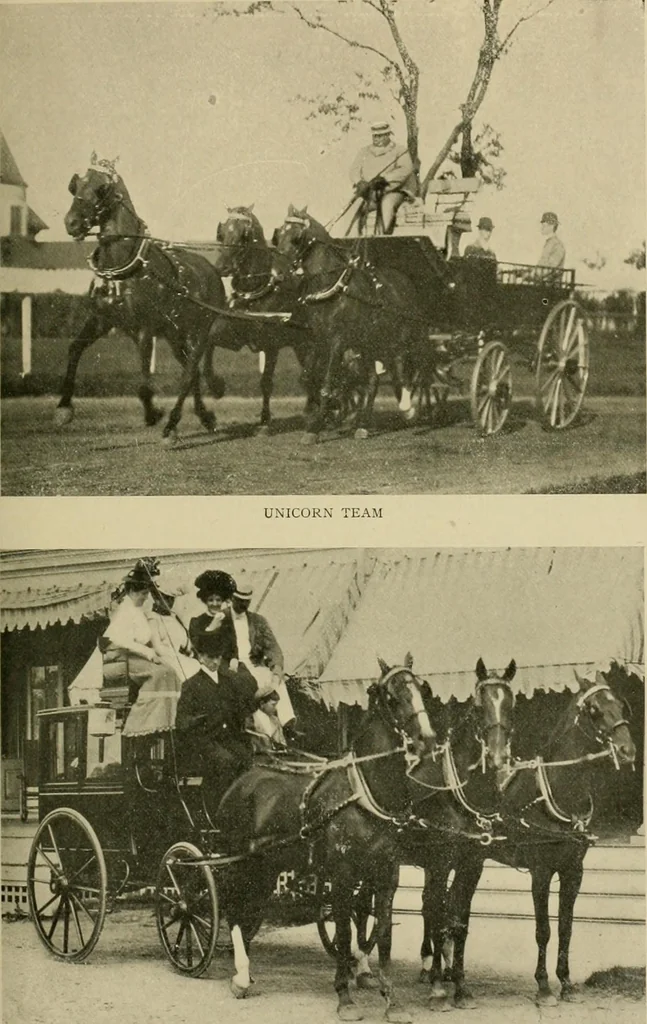 An illustration from Driving, 1903, leaf 215