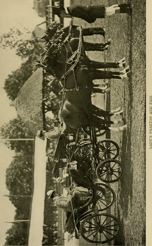 An illustration from Driving, 1903, leaf 219