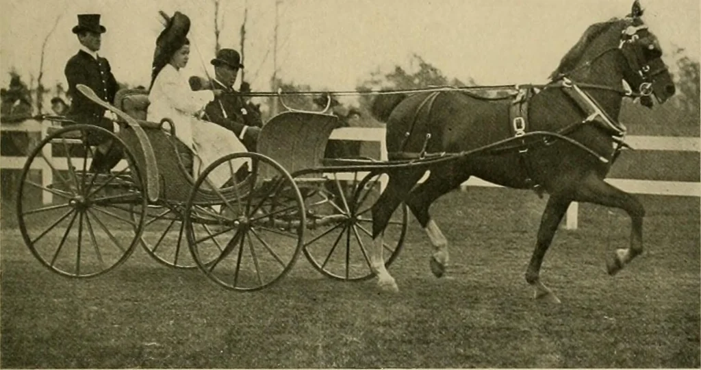 An illustration from Driving, 1903, leaf 223