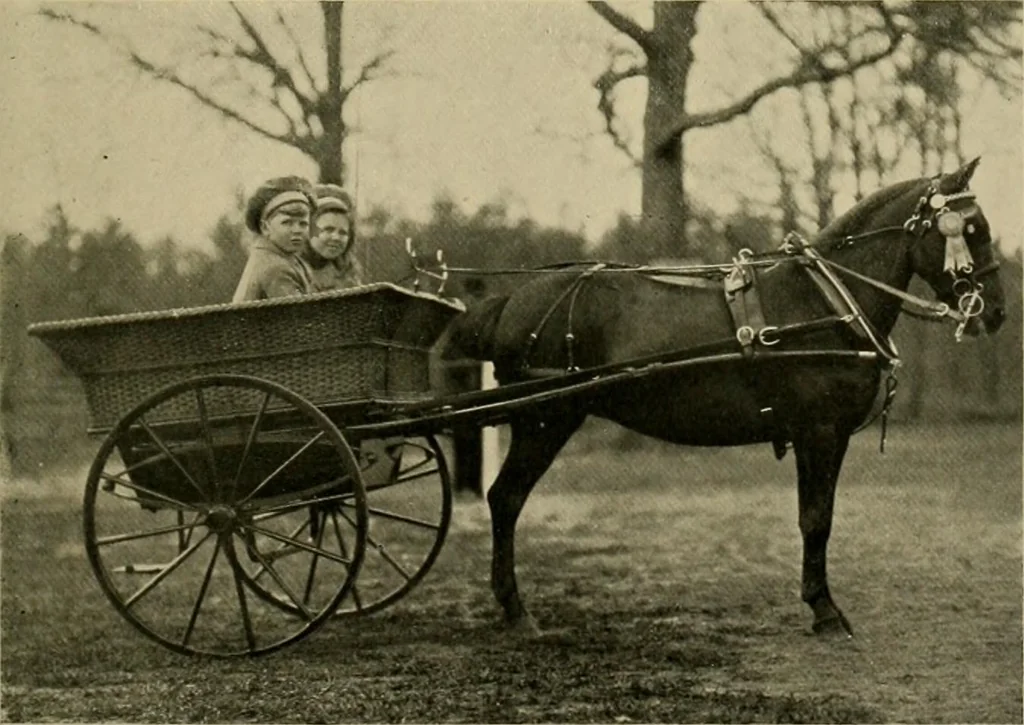 An illustration from Driving, 1903, leaf 223