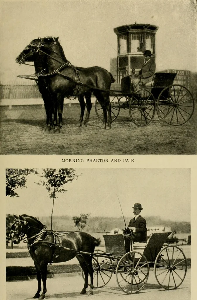 An illustration from Driving, 1903, leaf 227