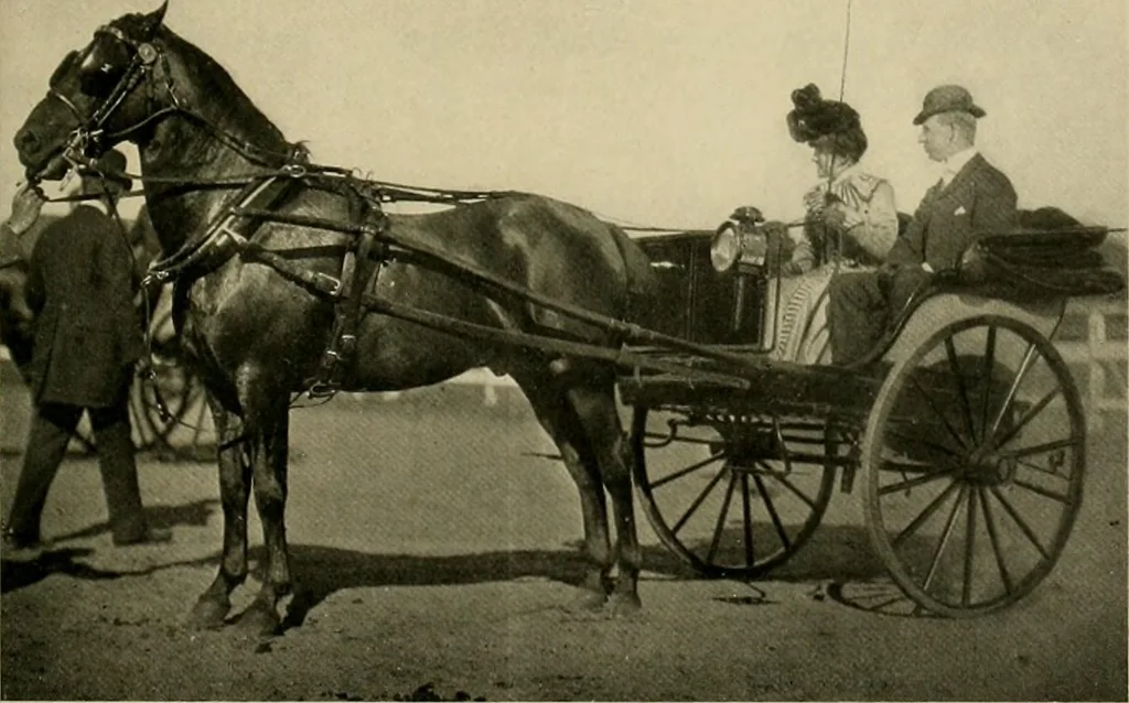 An illustration from Driving, 1903, leaf 231