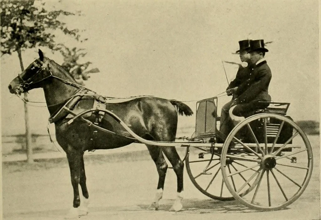 An illustration from Driving, 1903, leaf 235