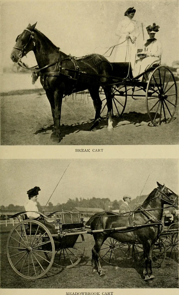 An illustration from Driving, 1903, leaf 239