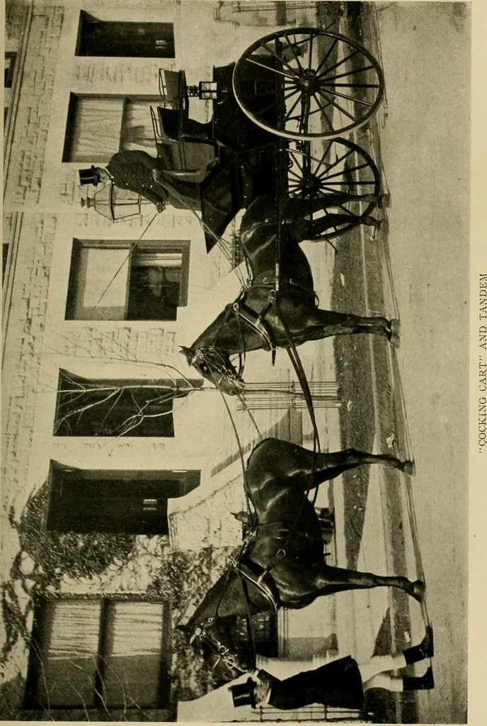 An illustration from Driving, 1903, leaf 247