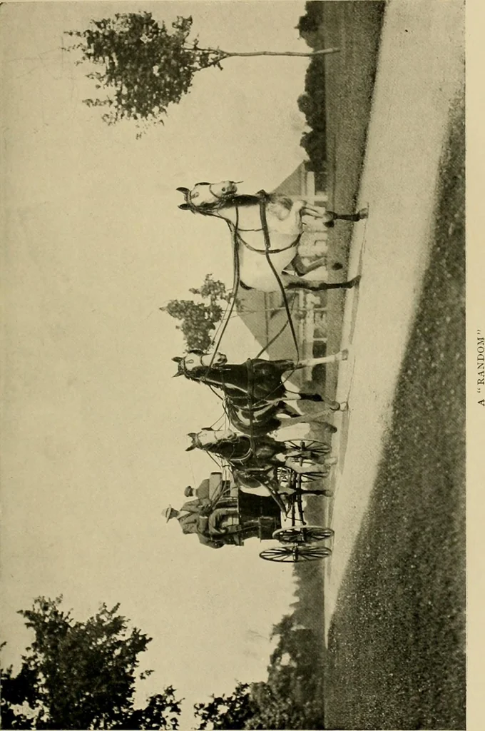 An illustration from Driving, 1903, leaf 251