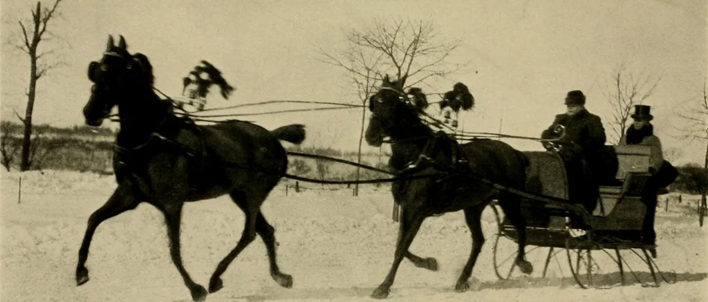 An illustration from Driving, 1903, leaf 255