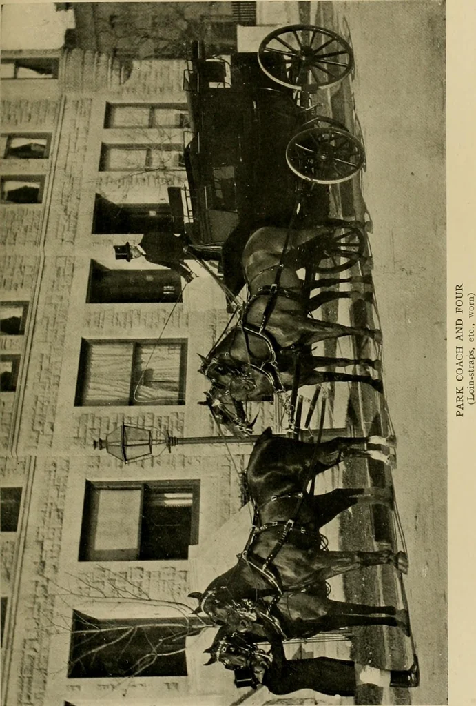 An illustration from Driving, 1903, leaf 329