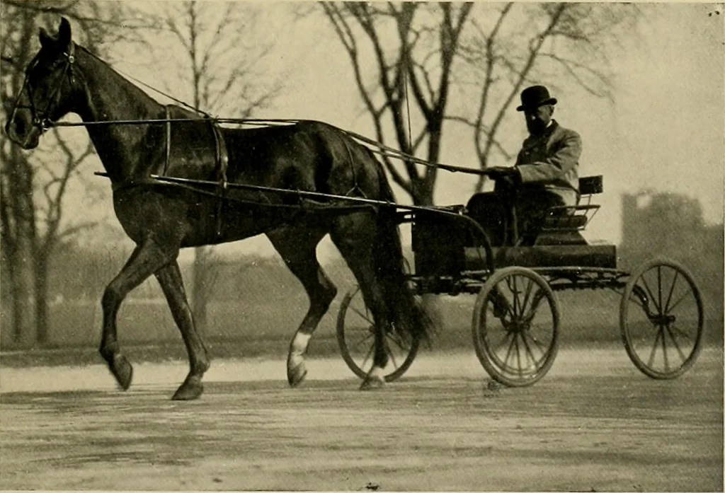 An illustration from Driving, 1903, leaf 377