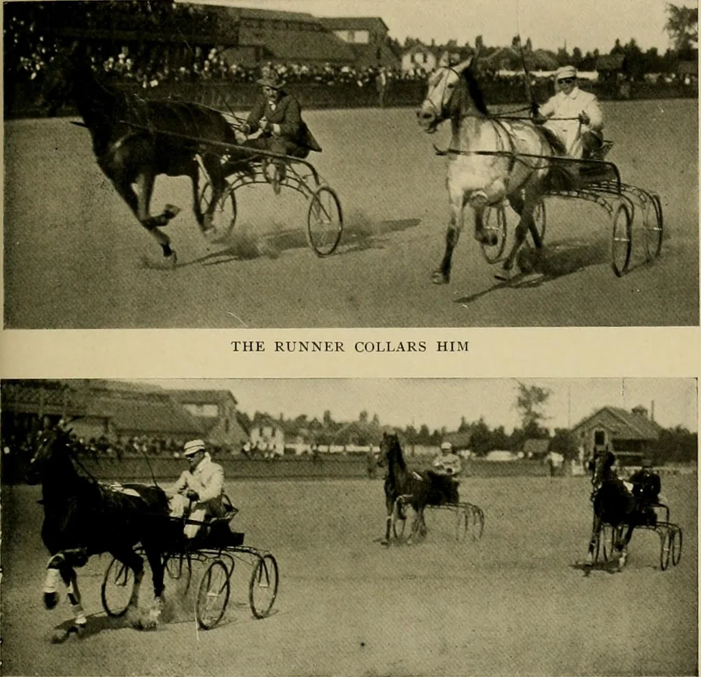 An illustration from Driving, 1903, leaf 391