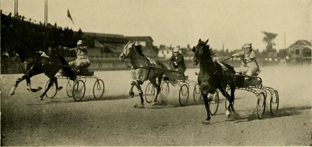 An illustration from Driving, 1903, leaf 391