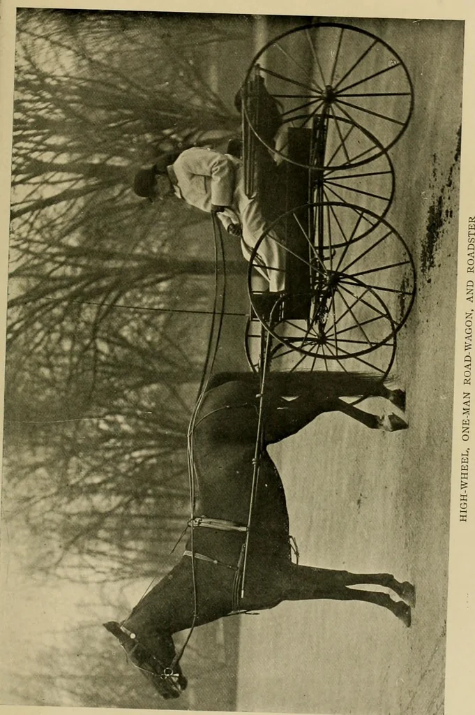 An illustration from Driving, 1903, leaf 421