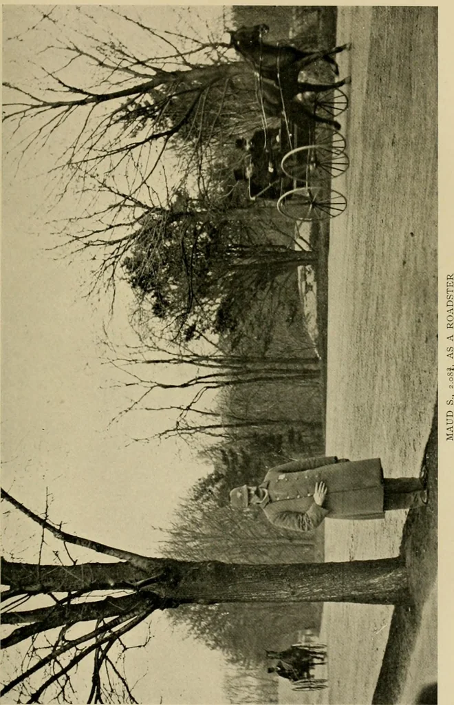 An illustration from Driving, 1903, leaf 429