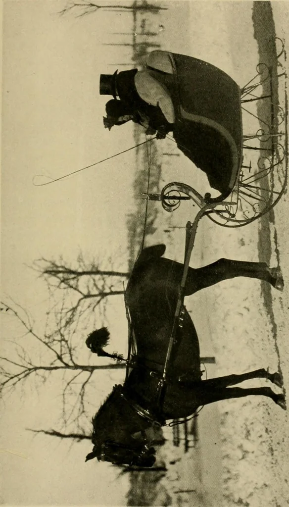 An illustration from Driving, 1903, leaf 433