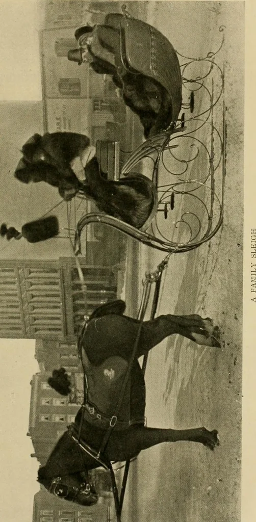 An illustration from Driving, 1903, leaf 441