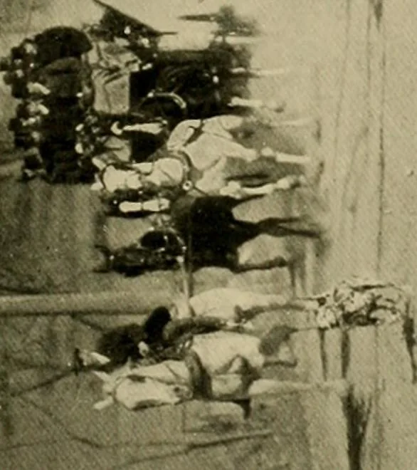 An illustration from Driving, 1903, leaf 89