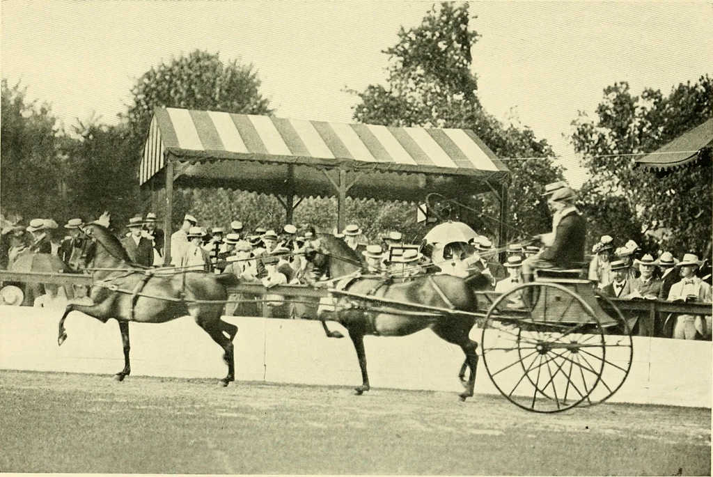 An illustration from Driving, 1903, leaf 121