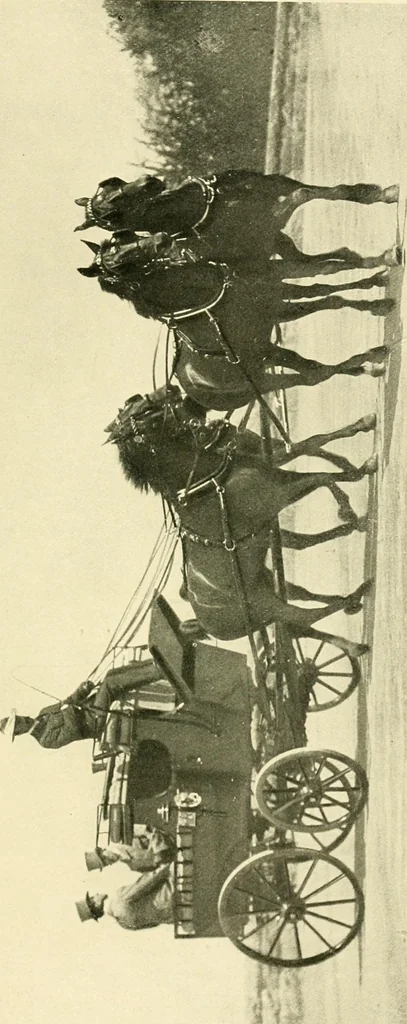 An illustration from Driving, 1903, leaf 131
