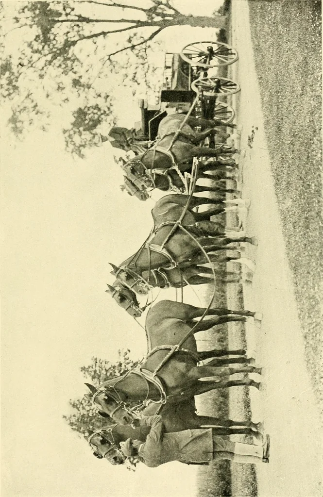 An illustration from Driving, 1903, leaf 137