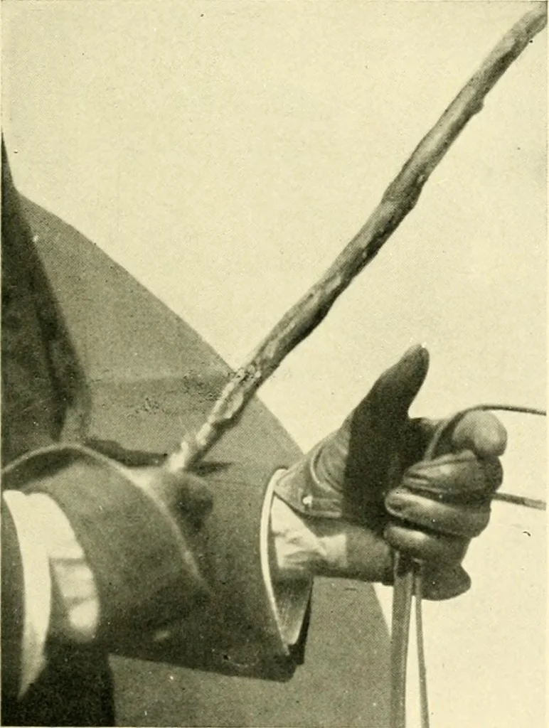An illustration from Driving, 1903, leaf 143