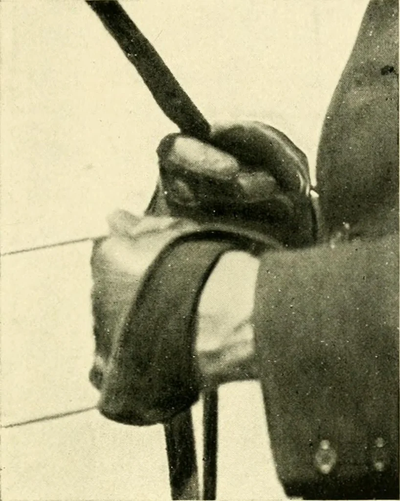 An illustration from Driving, 1903, leaf 147
