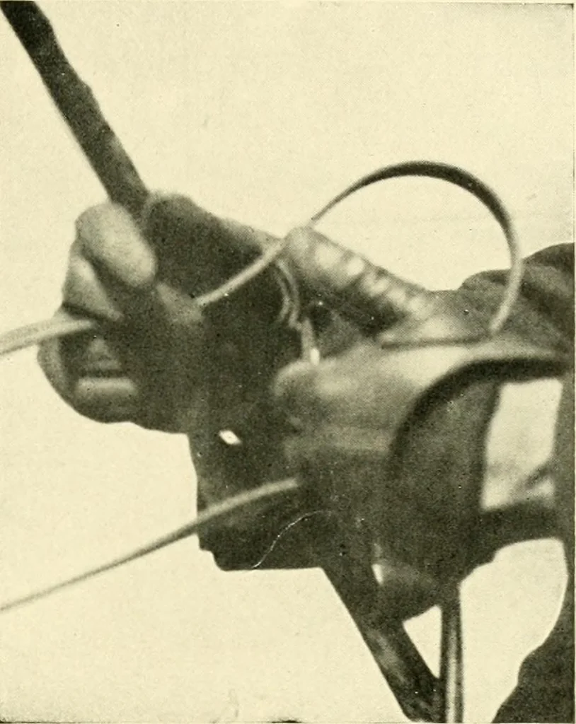 An illustration from Driving, 1903, leaf 147