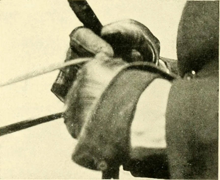 An illustration from Driving, 1903, leaf 147